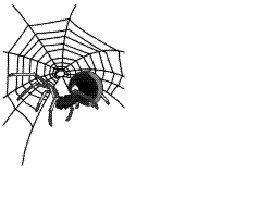 spider.gif (65584 bytes)